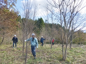 山下ホーム,植樹