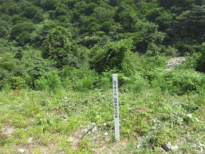 山下ホームが富山県魚津市で行った植樹活動